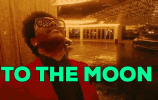 To The Moon Meme GIF by Bitcoin & Crypto Creative Marketing